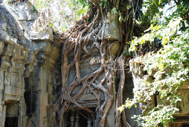 �N���[���R�̖k����4