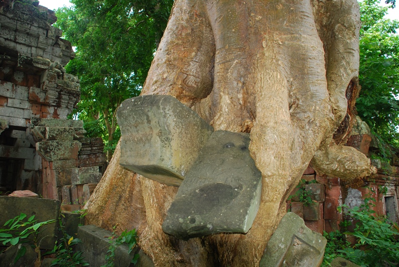 �N���[���R�̖k����6