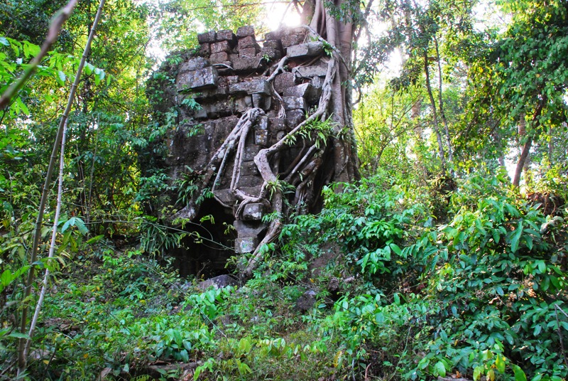 �N���[���R�̖k����7