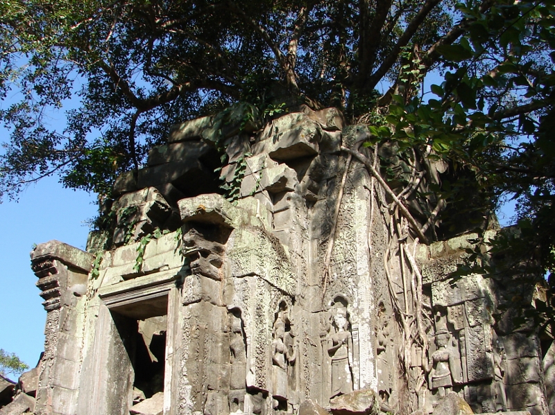 �x�� �����A�̖�