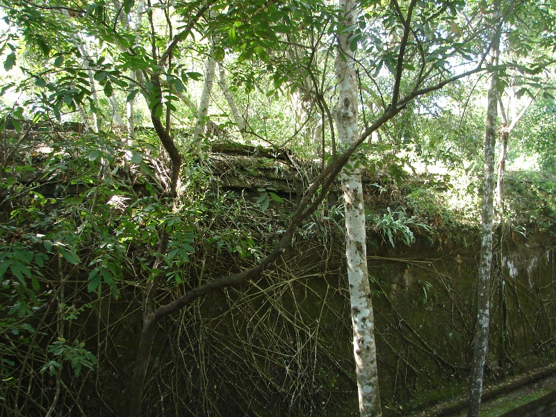 �x�� �����A�̕Ǉ�1