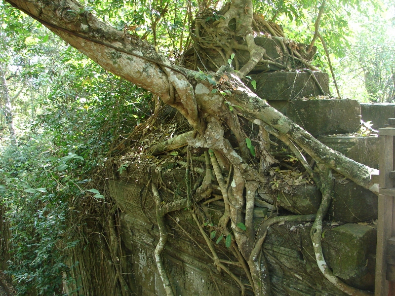 �x�� �����A�̍�����