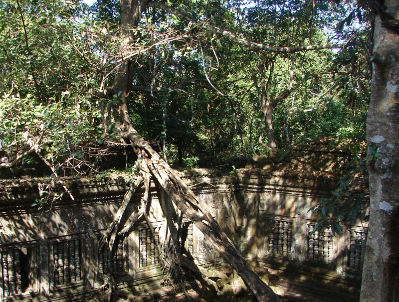 �x�� �����A�̉�L��2